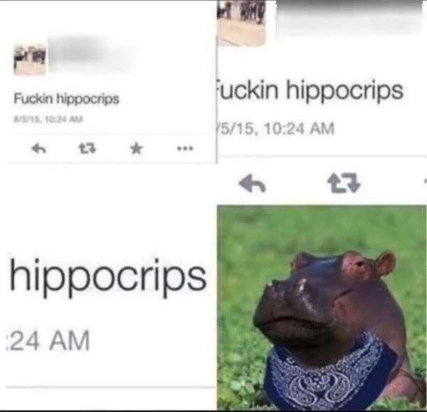 Got dang hippocrips