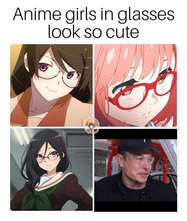 Elon is my waifu