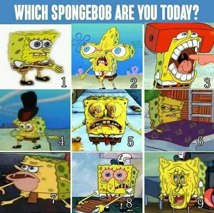 Somehow, I'm all of them