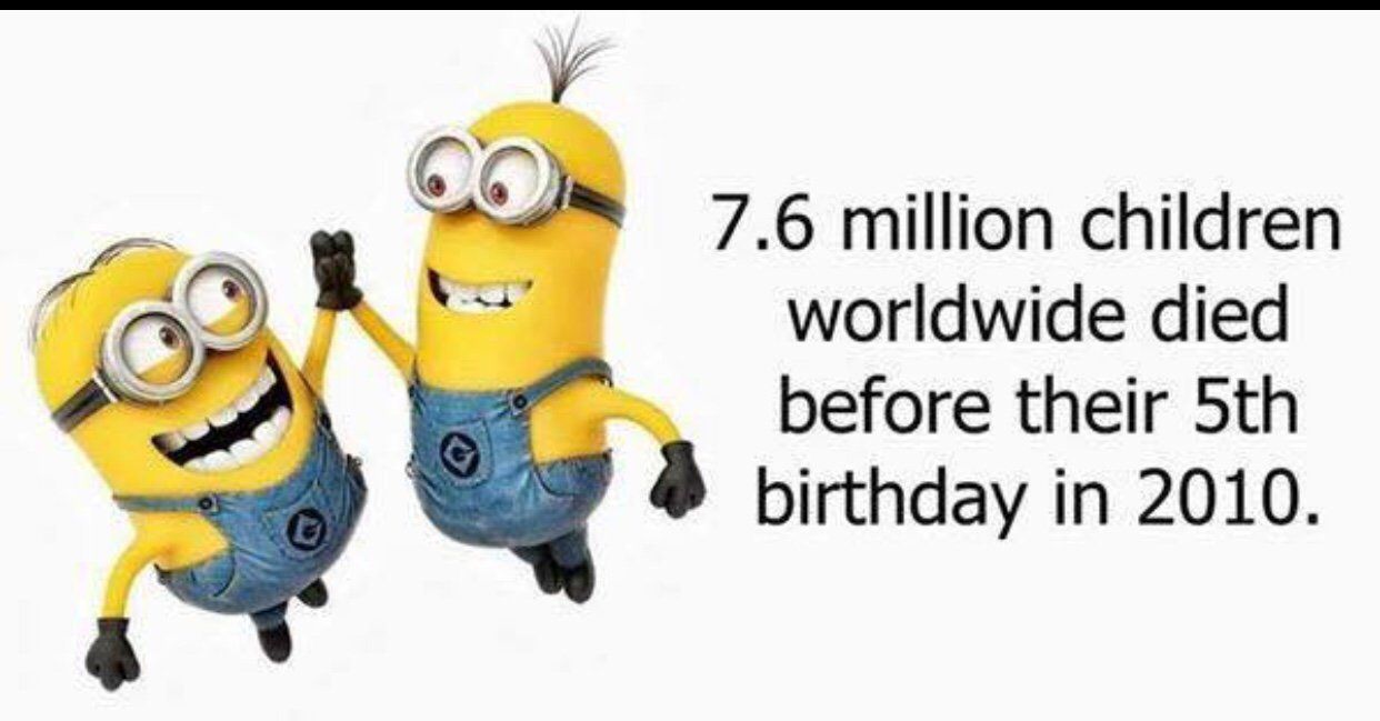 FAKTA