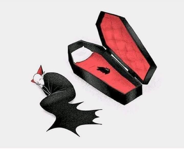 If Dracula had a cat