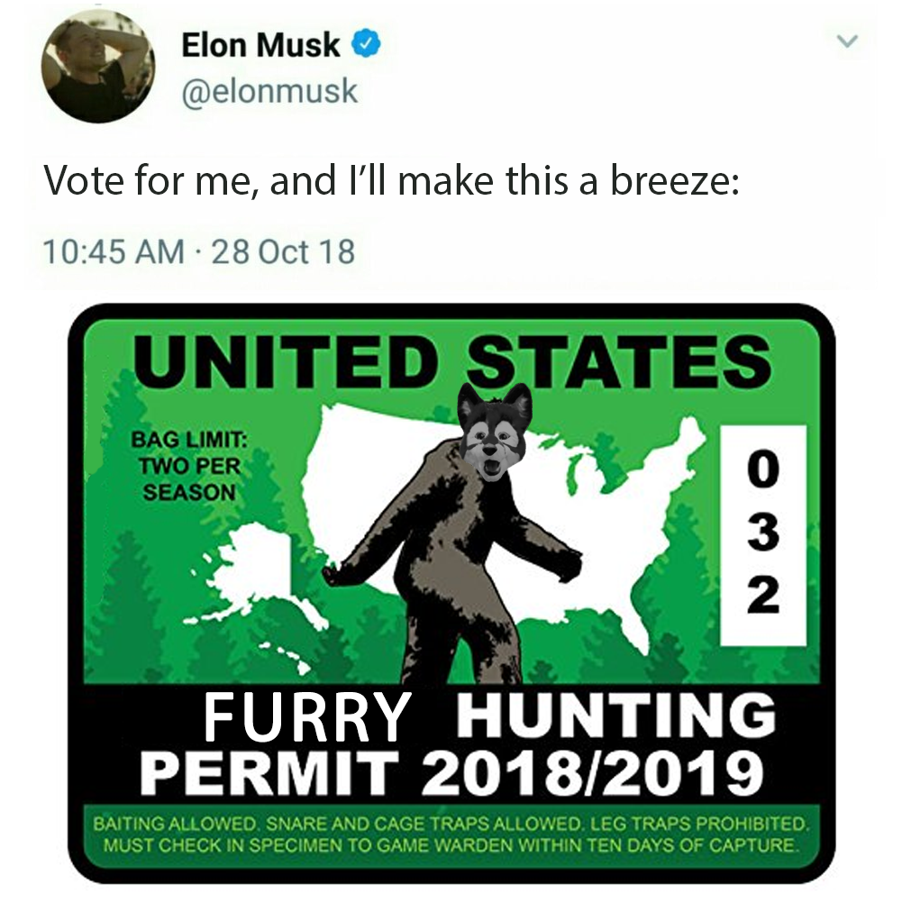 Best guy