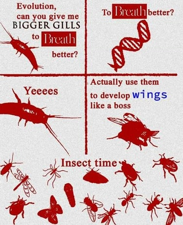 bzz bzz