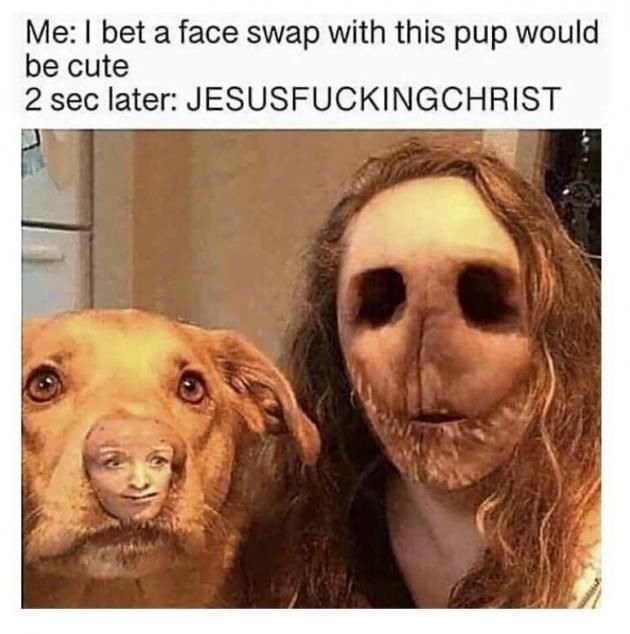 I bet a face swap with this pup would be cute.