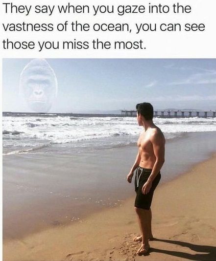Nostalgia