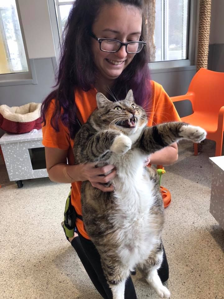 The local Humane Society posted this picture of a big boy that is for adoption.