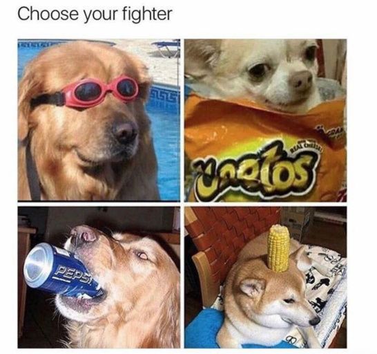 Who will be your good boy?