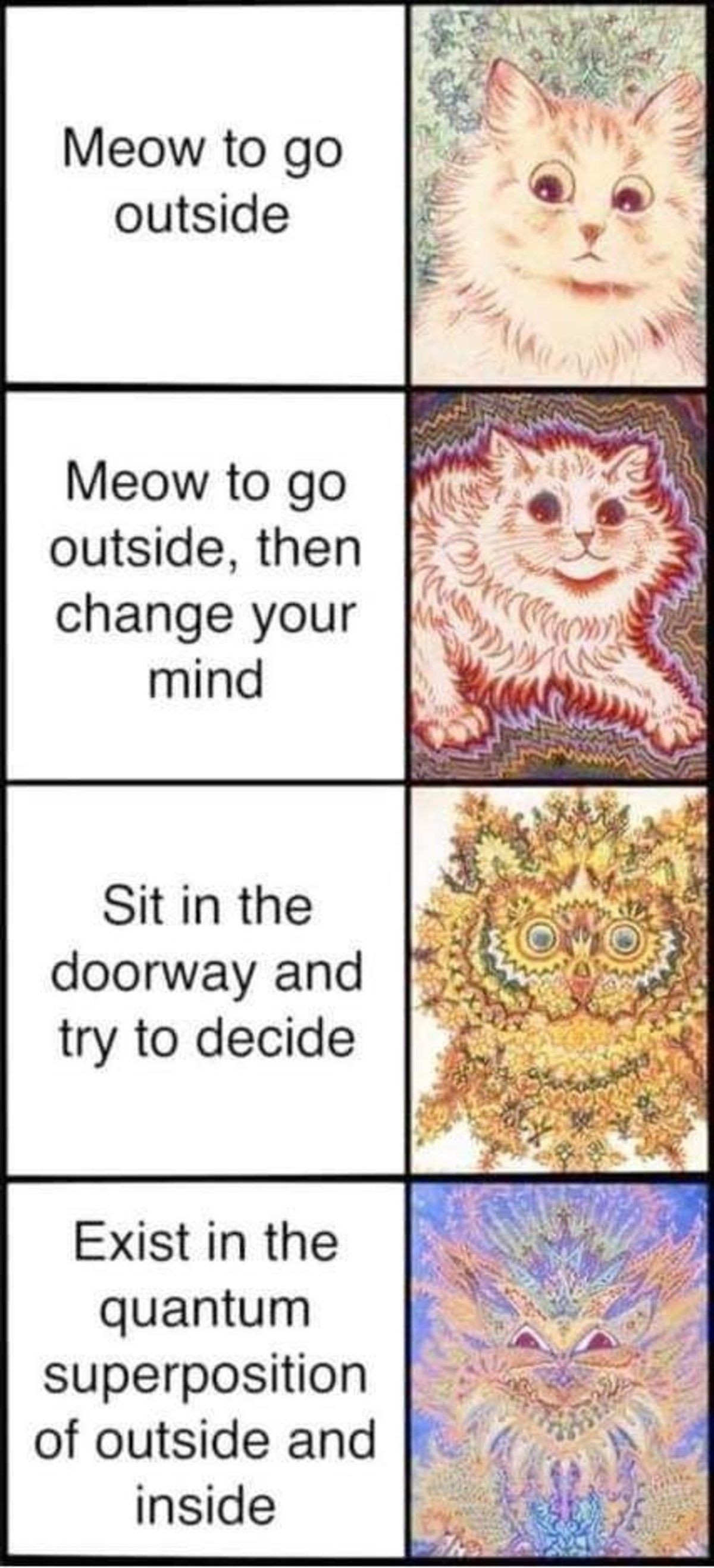 Meow