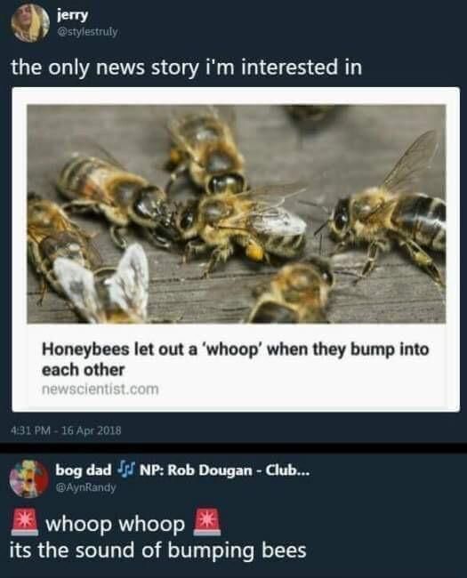 Sound of Bumping Bees
