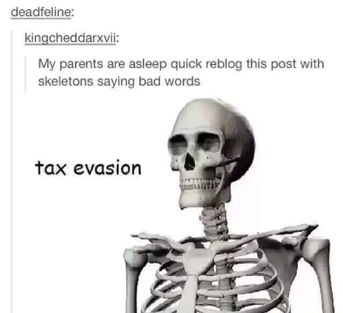 swear