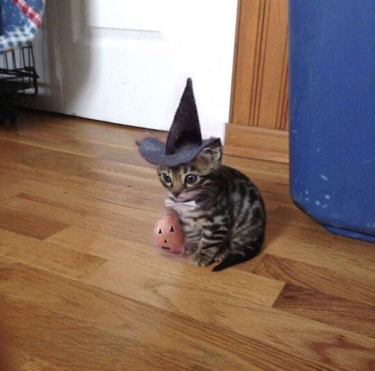 When Halloween is over but you’re still in the spirit