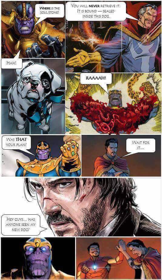Thanos Got John Wick Dog