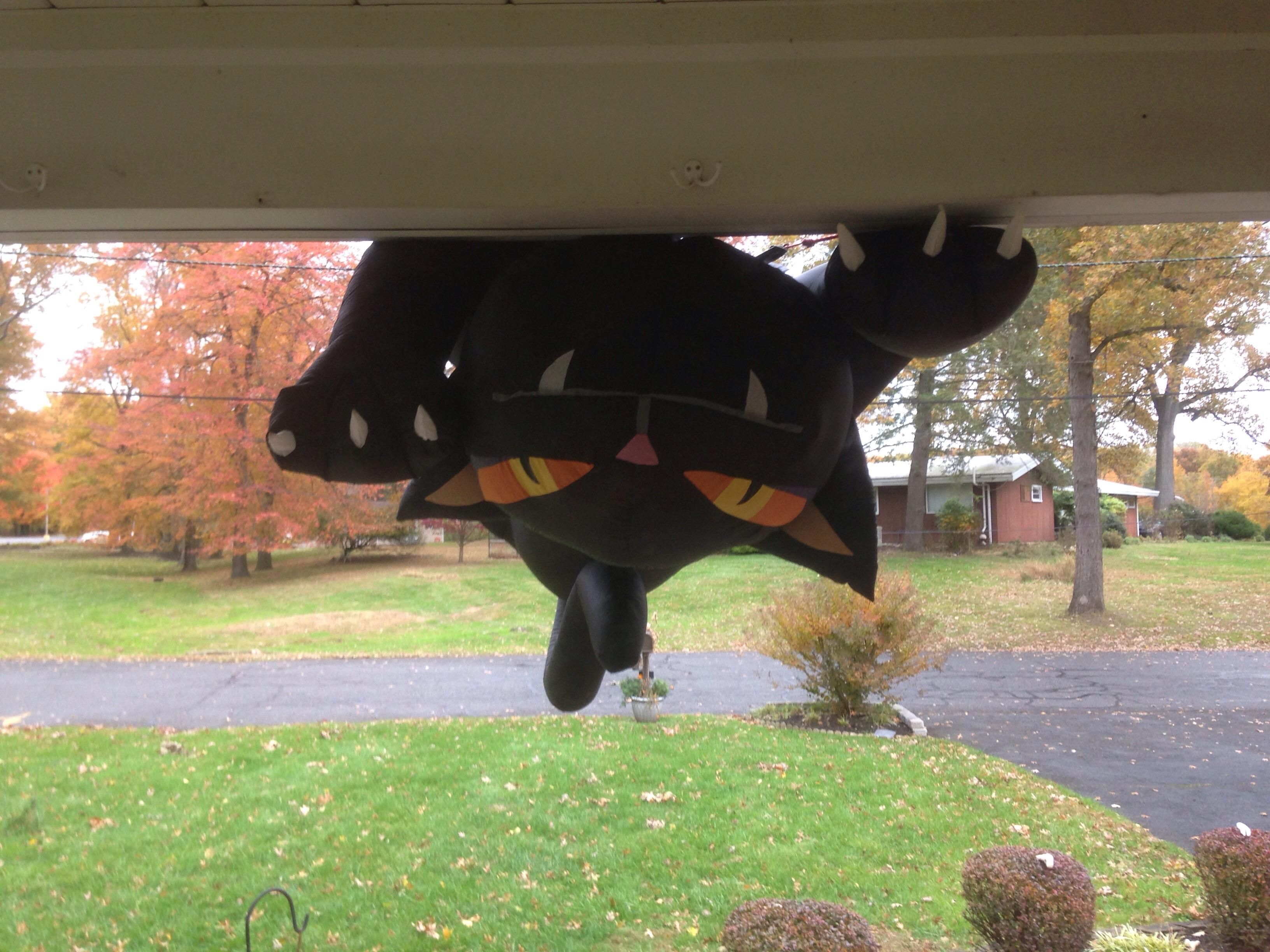 For Halloween I had an inflatable cat on my roof. Last night it was very windy. This is what greeted me when I opened the door this morning. Almost had a heart attack.