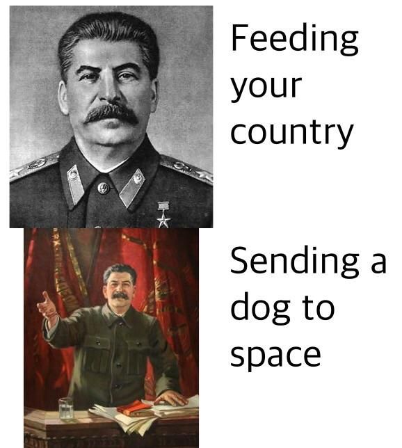 poor doggo