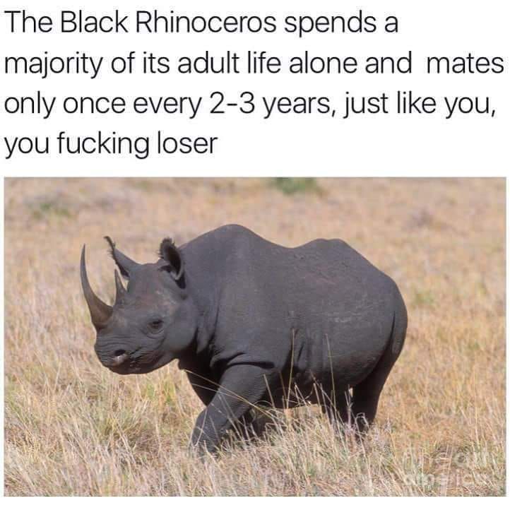 2-3 years? they are lucky