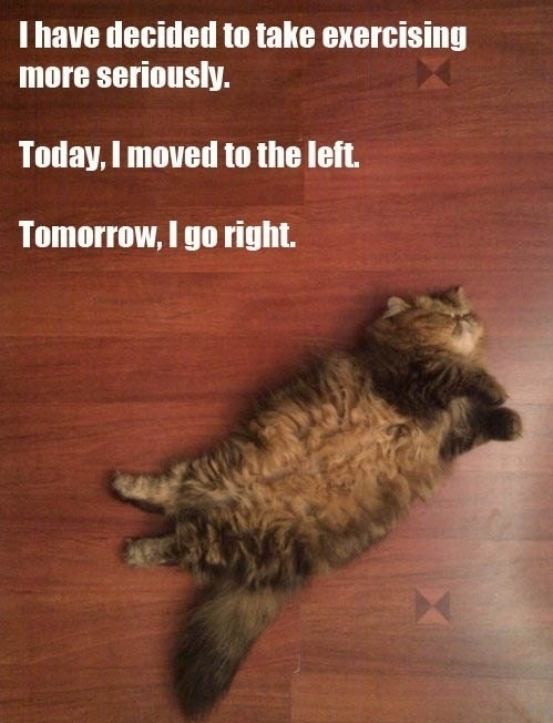 My workout