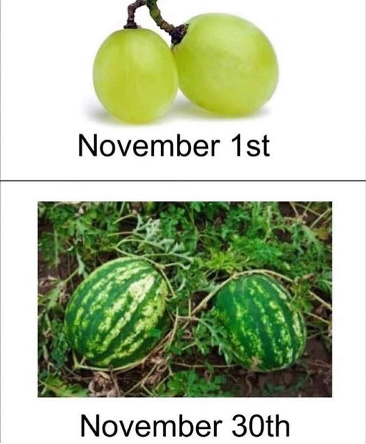 nice