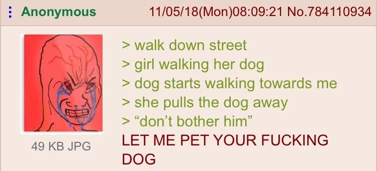 Anon needs the doggo