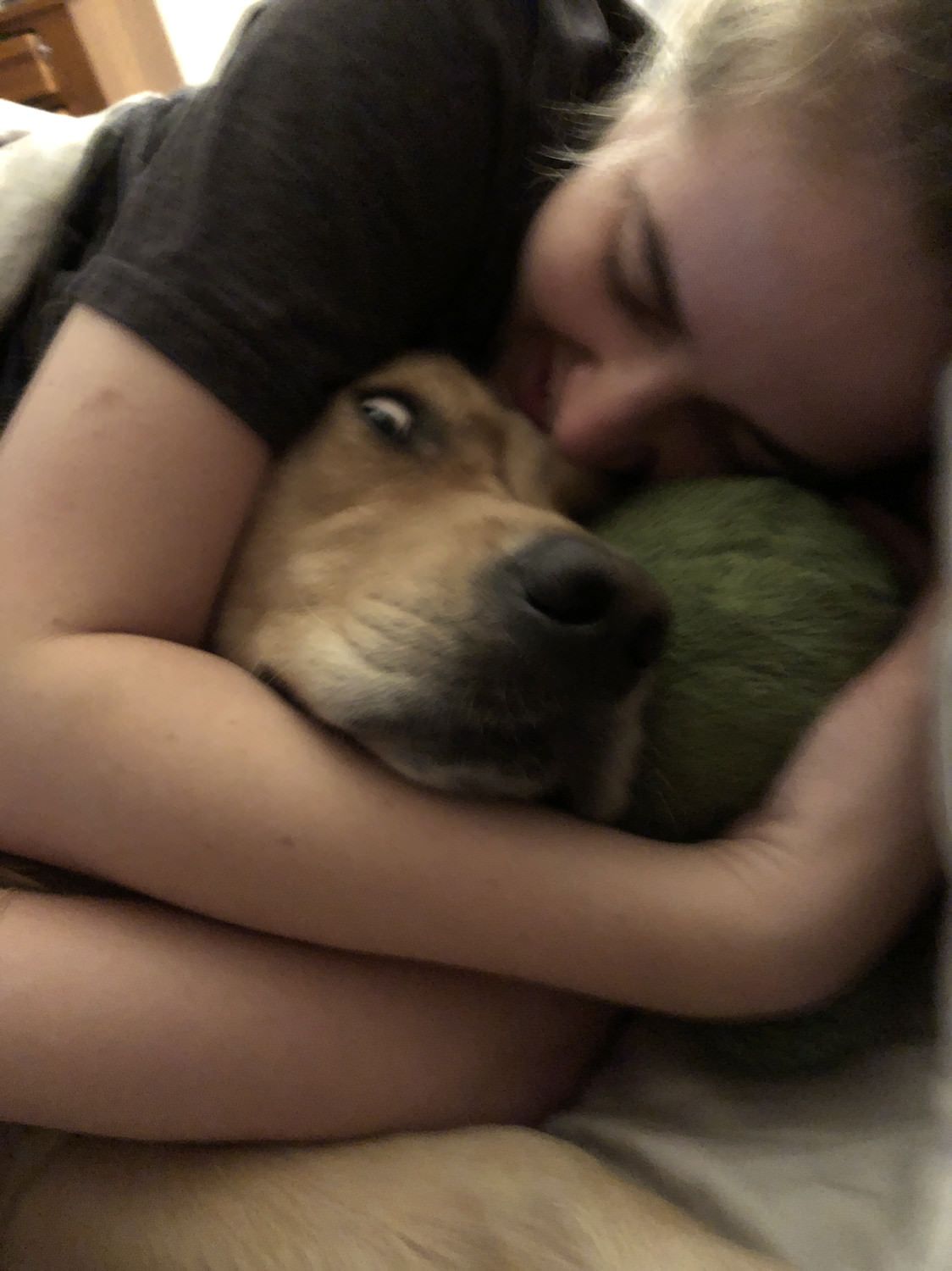 My wife came home drunk wanting cuddles...