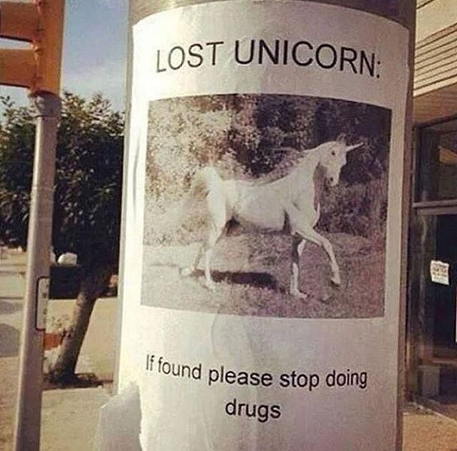 Lost unicorn!!!