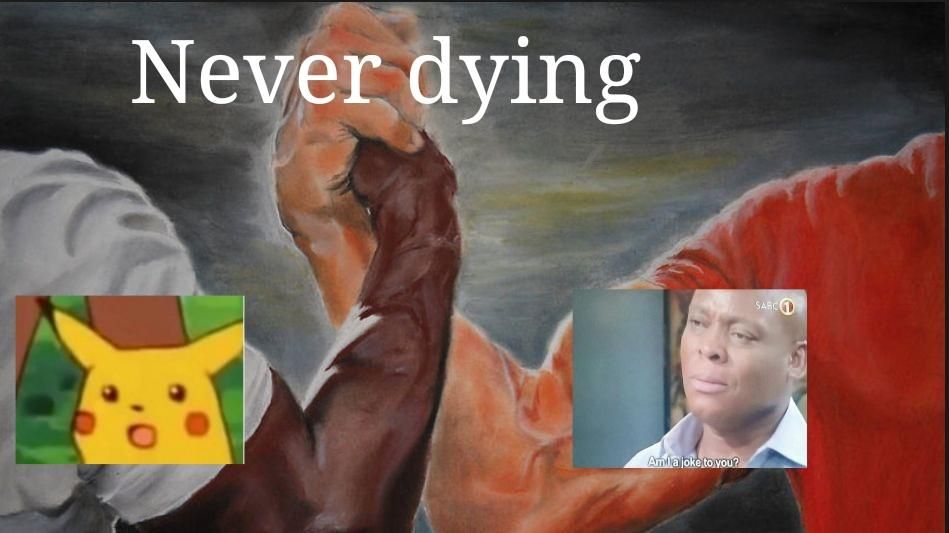 They are here for quite long now