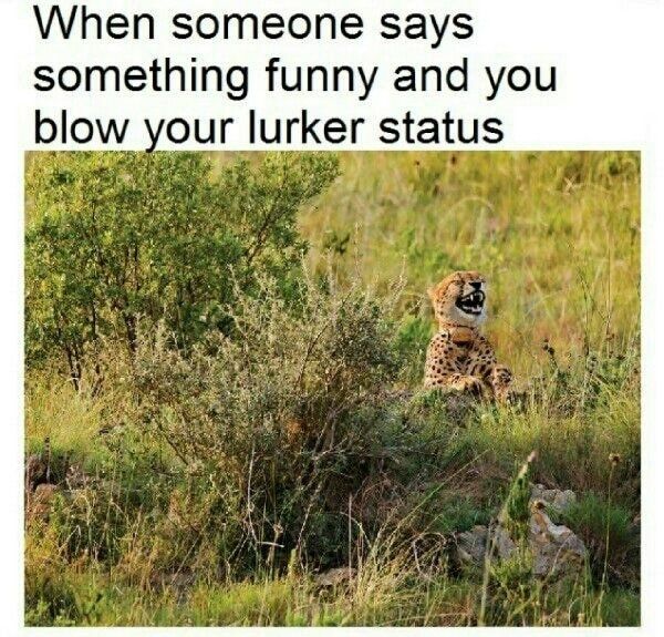 To all you lurkers