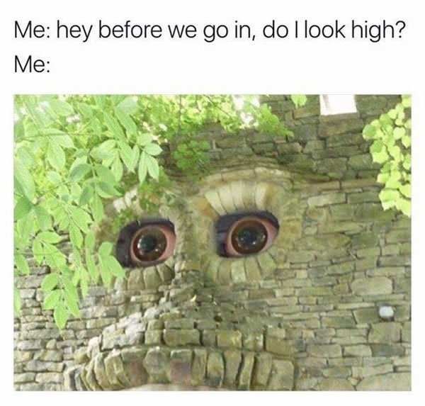 You look like a wall