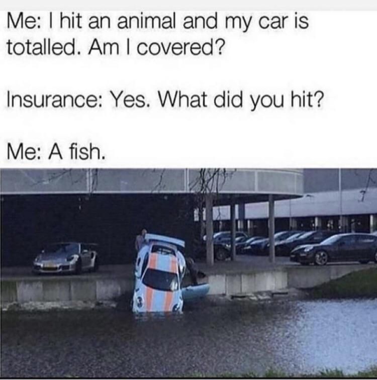 How to insurance fraud