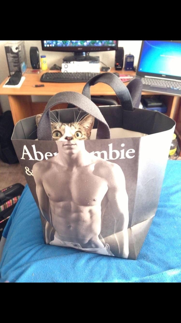 Cat’s been hitting the gym lately