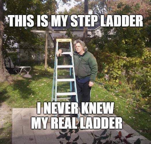 You're not my real ladder!