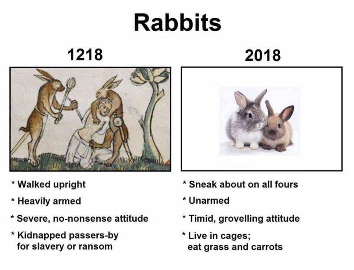 Rabbits, then vs now