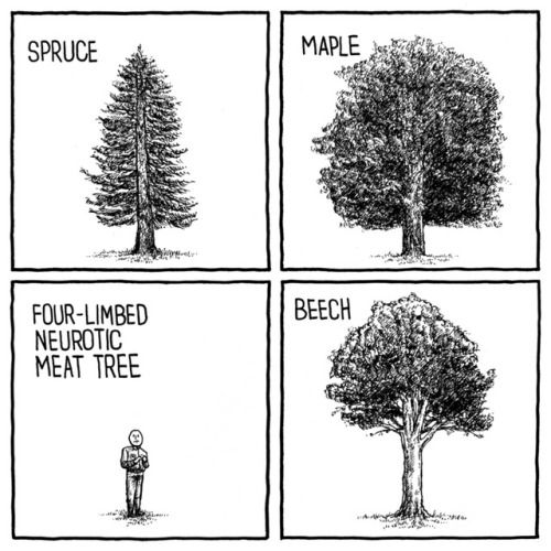 What kind of tree are you? Take our test to find out now: the results will blow your mind away!