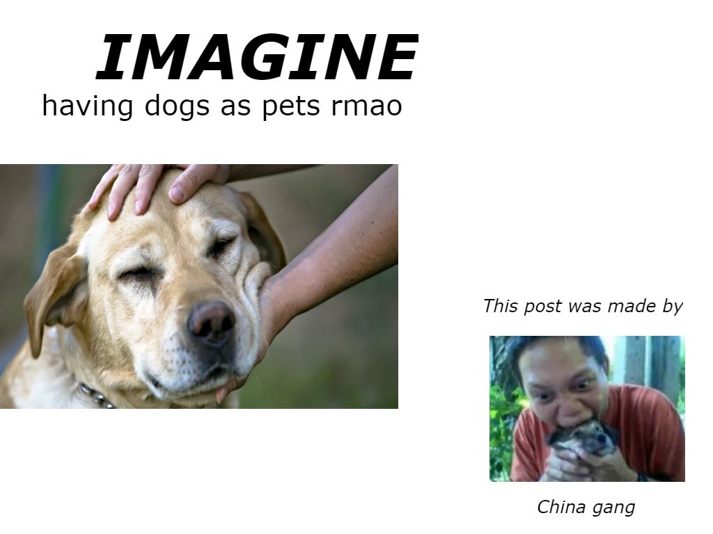 Please dont eat dogs