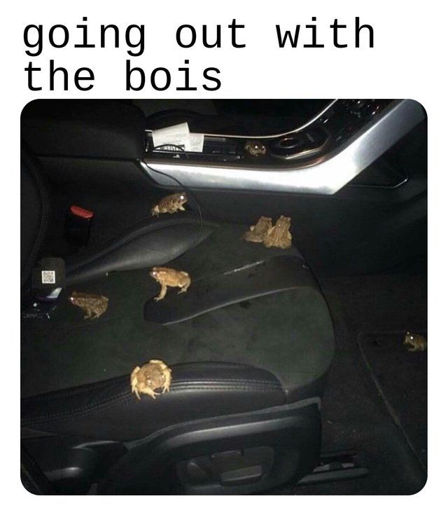 SQUUAAAAD