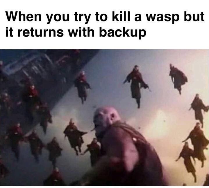 they are trying to kill you