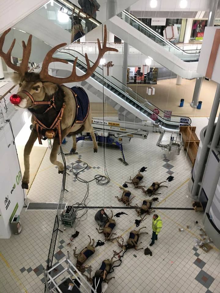 All of the other reindeer used to laugh and call him names...so he killed them; killed them all.