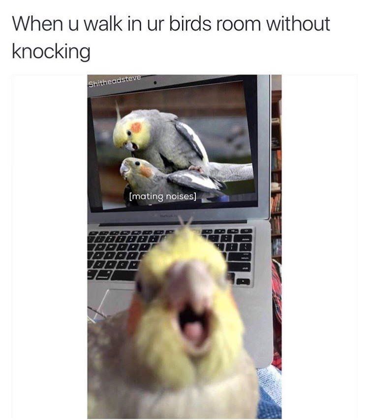 Get out of my room!!