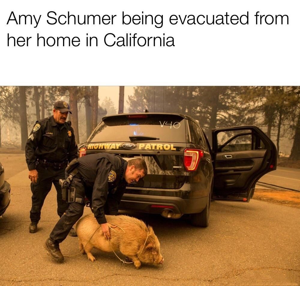 dont forget that she helps you in NNN