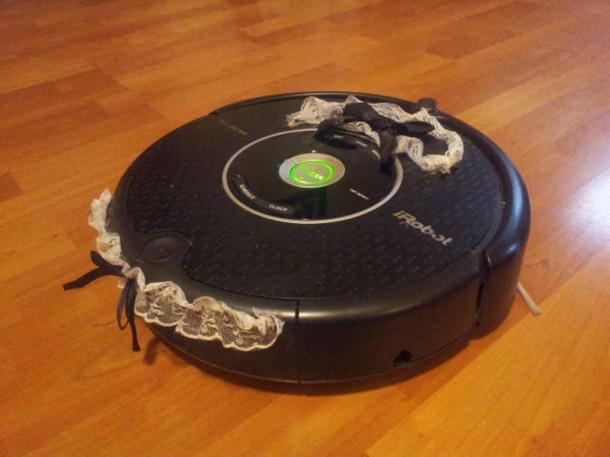 Do you think I got scammed on the robot maid service?