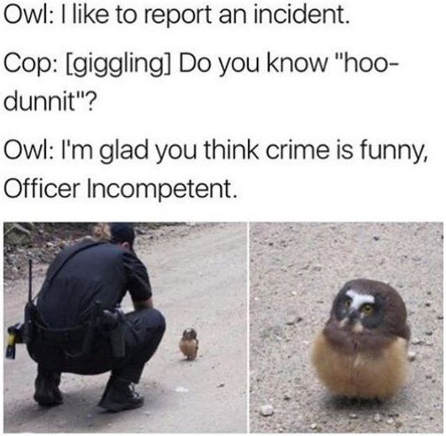 Crime is funny