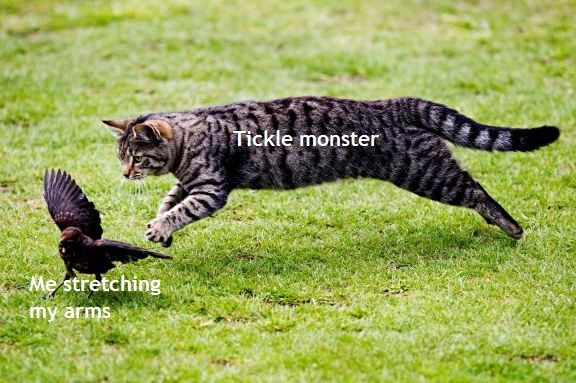 Catposting