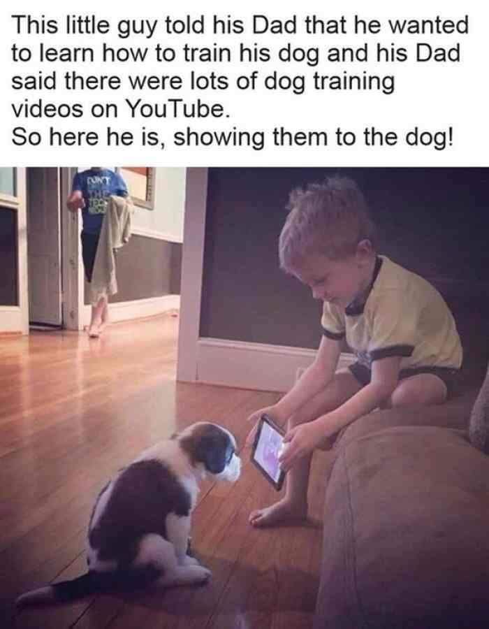 Dog training.