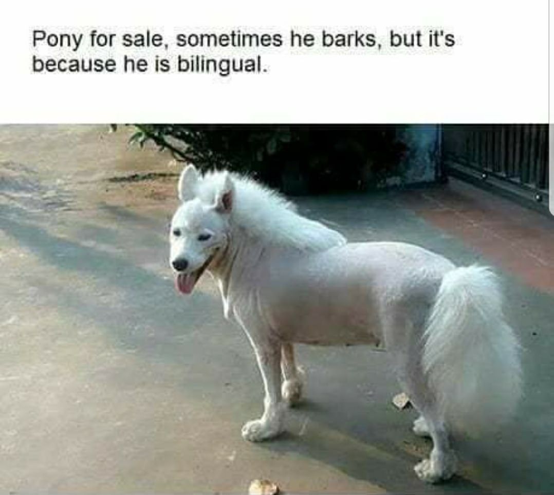 Looks like a bargain