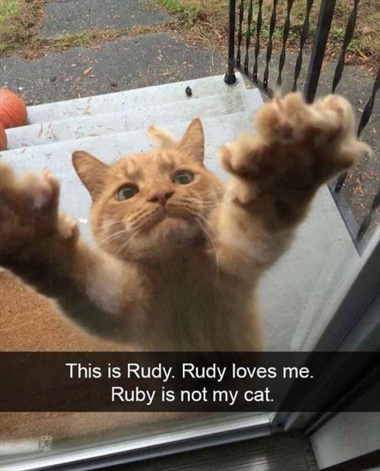 This is Rudy
