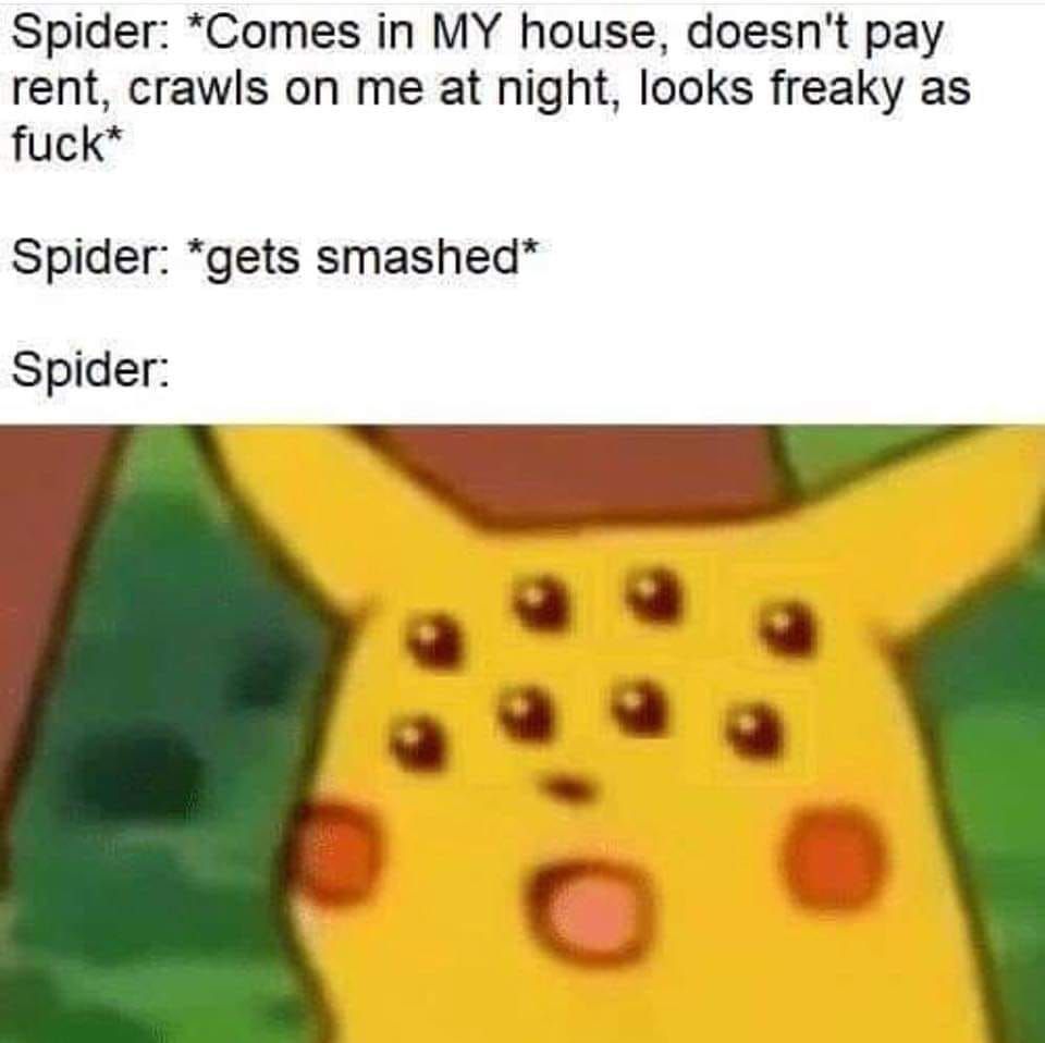 Get smoshed