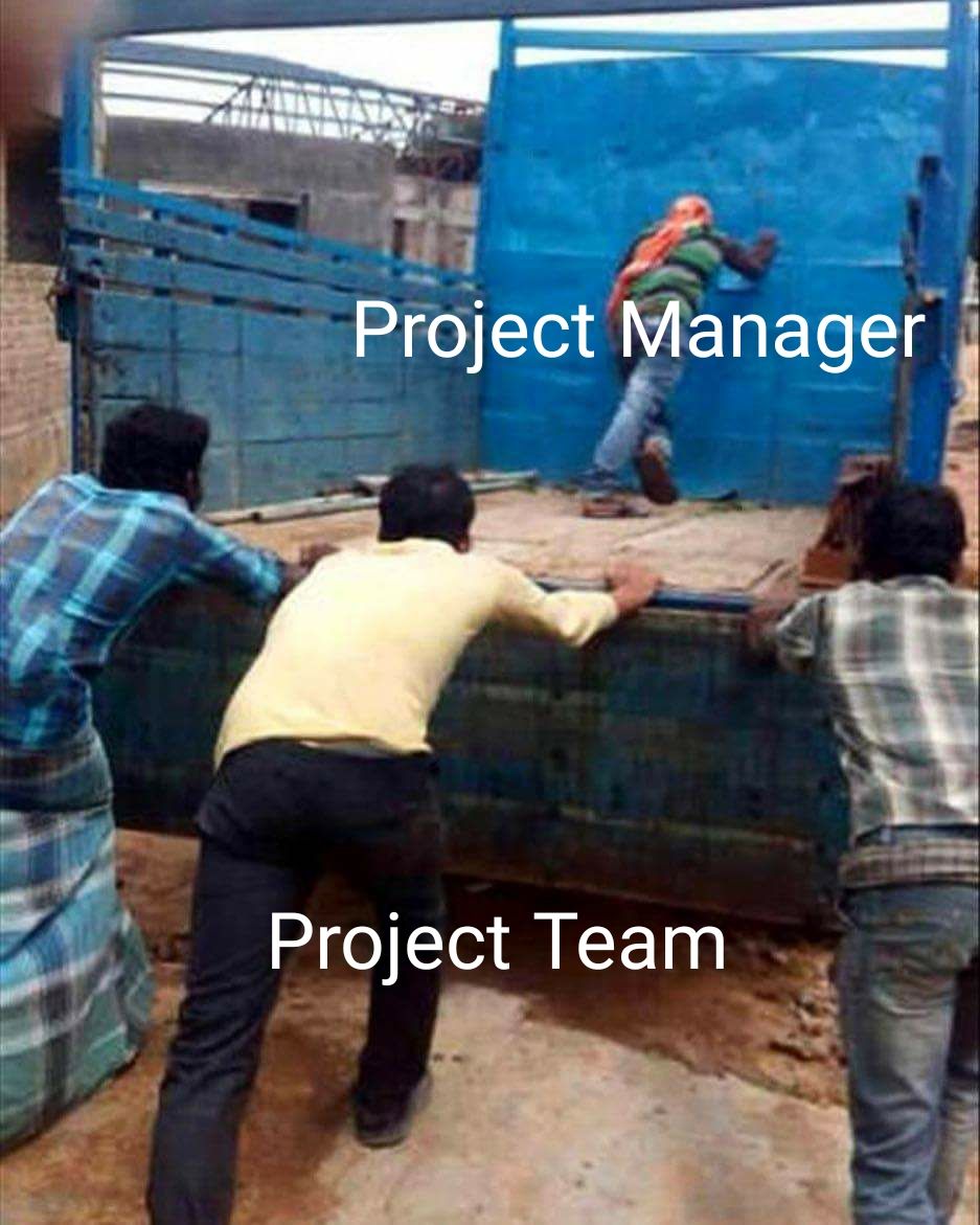 Every project.