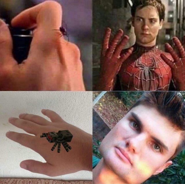 Spider-Steve