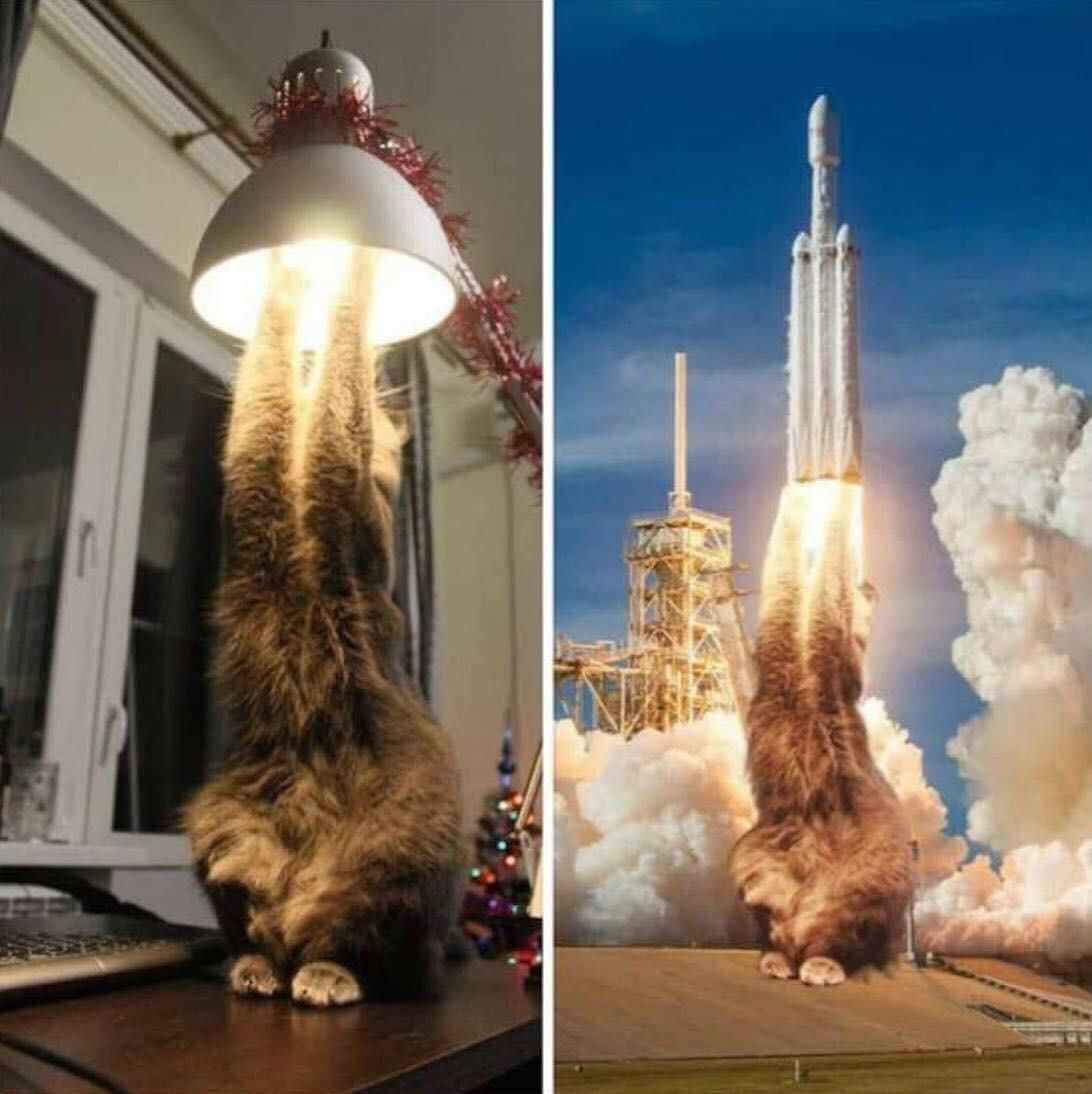 Spacex new rockets looks great