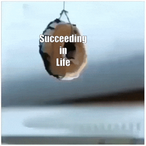At Least I Have Now Time to Make OC