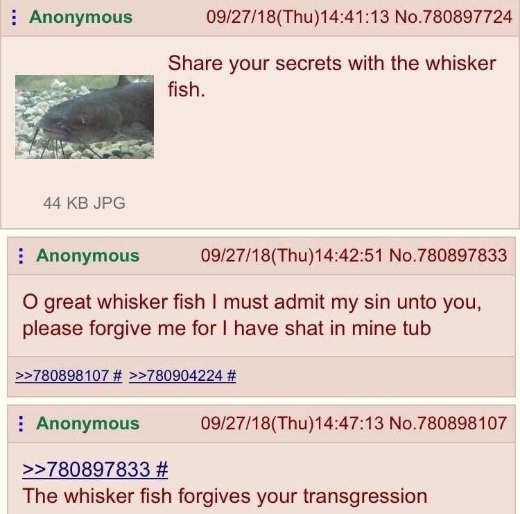 Anon is forgiven